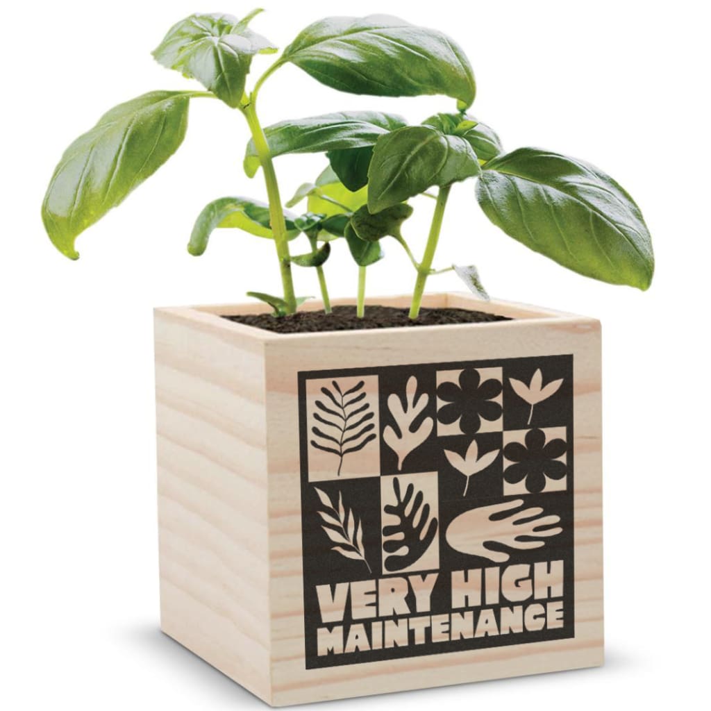 Very High Maintenance Planter Box - Planter